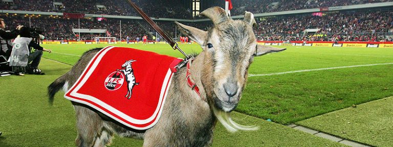 Filos Restaurant Köln - Fußball